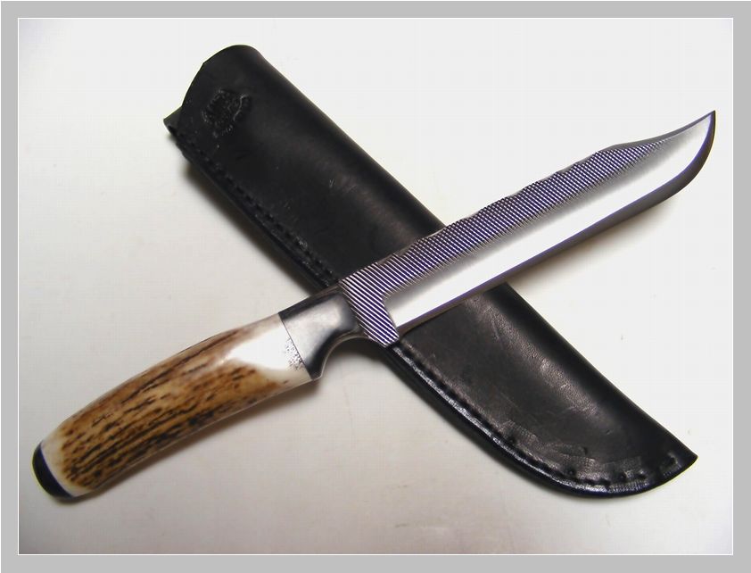 Anza stag 150usd 2.jpg(54 kb)